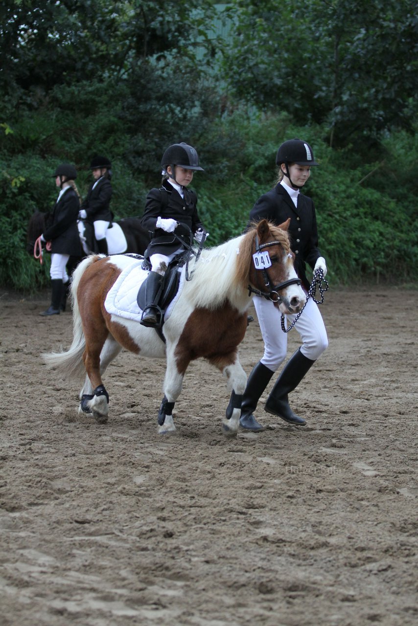 Bild 552 - WBO-Turnier am 18.9.11